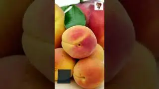 Apricot - Raw Food Facts