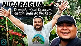 El Mejor Café del Mundo en San Juan de Río Coco en Nicaragua - PATEPERROTV