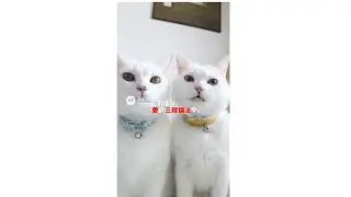タマ大学GenAI学科