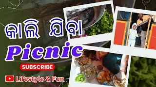 କାଲିଯିବା Picnic #family #youtubevloggers #vlog #shortvideo #shortsfeed #shorts #picnic #jungle #odia