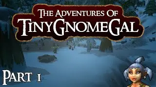 The Hardcore Adventures of TinyGnomeGal - A New Adventure