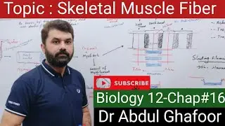 Topic:Skeletal Muscle Fiber||Biology 12 || chapter 16|| Dr Abdul Ghafoor