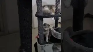 Мамаша проснулась