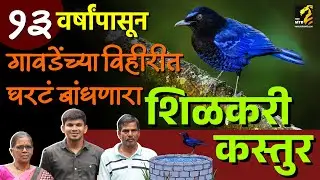 रत्नागिरीतील विहीरात घरटं बांधणारा शिळकरी कस्तुर | malabar whistling thrush call | Maha MTB