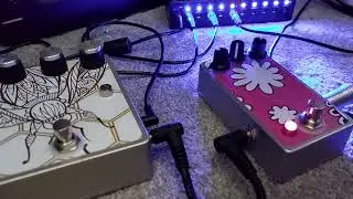 dirtbox layouts  tone reaper