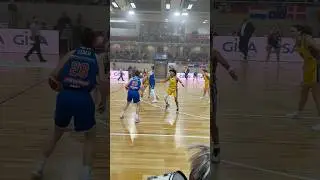 Syntainics MBC vs Alba Berlin Playoffs Spiel 3 #dbbl #basketball #damen #sports #albaberlin #fancam
