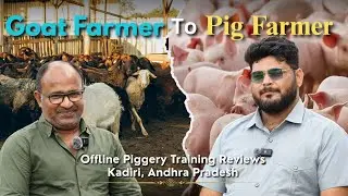 Goat and Sheep Farm Owner Wants to Start A Pig Farm. Offline Piggery Training Honest Reviews.