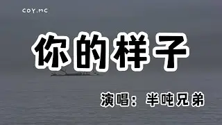 半噸兄弟 - 你的樣子『讓風塵刻畫你的樣子 就像早已忘情的世界』（動態歌詞/Lyrics Video/無損音質/4k）