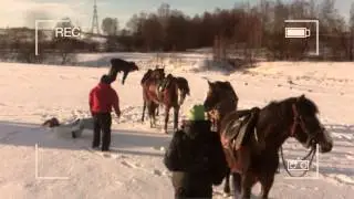 StuntPro Horses 10feb2015