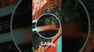Чайная Янгуан Габа #чайнаяцеремония #tea #чай