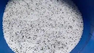 Mulching Film Making Machine | Agriculture Mulching Film Plant
