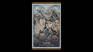 16 This Card Chosen For You (Soul Kin) #shorts