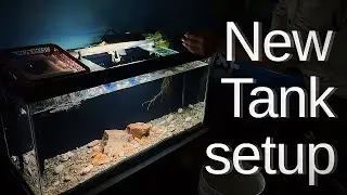 New Tank Setup with Natural Items | DIY Aquarium