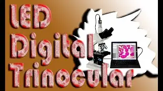 Best LED Digital Trinocular Microscope 2022 on Amazon USA