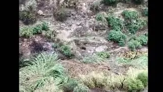 Rain in Spain/Competa, Malaga/ 9.12.2022