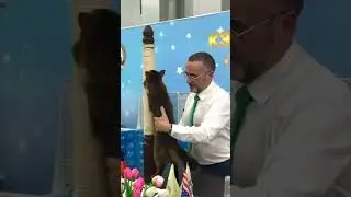 Сомалийская кошка. CATSBURG 2020.