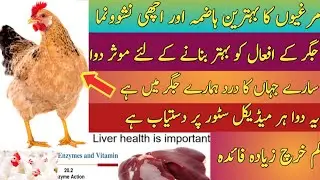 How to improve chicken's digestive Health || Maintaining chicken liver function