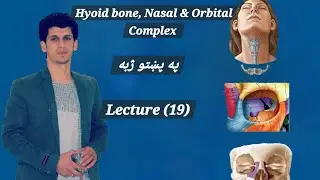 Hyoid Bone, Ear Ossicles, Orbital & Nasal Complex (Lec 19) #anatomy #onlinelearning #education 