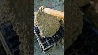 Dream World | Near Prozone Mall CIDCO N1 | Construction Update | Luxurious flats in Sambhajinagar