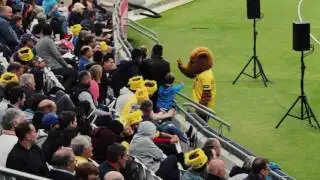 Birmingham Bears FREE Under 16s tickets