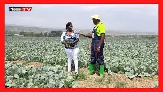Cemania na Judy Wangechi, mũrĩmi woma wa mboga Naivasha; #MũgamboWaMũrĩmi PART 1