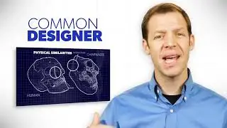 evolution is false belief