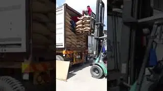Loading Vietnam Green Coffee Bean into container for export