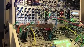 Vector sequencer. Spectrum vco. Zdsp. UDervish. Ste16. Salmple. Sinc Defero.