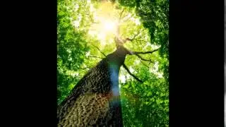 SONG N&deg;28 TRAVEL By Michael FRAYSSE Pianiste Compositeur SACEM Music Composition Piano Music