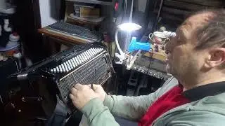 Servis harmonika Dane Loznica +38164 420 5721 