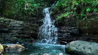 Waterfall Sounds for Insomnia: Deep Rest & Instant Sleep Relief