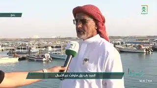 صيد الأسماك ارث تاريخي في سواحل ينبع (نقل مباشر قناة السعودية)