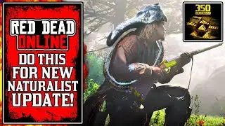 What Players REALLY NEED For The New Naturalist Update in Red Dead Online (RDR2)