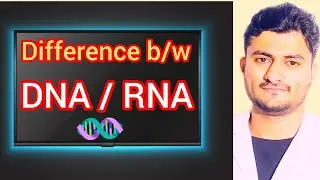 Qns 38 ) DNA 🧬 V/S RNA 🔗 Difference between DNA and RNA // Chemistry Boards Exams question paper 📜🗞️