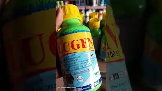 Obat hama wereng, insektisida lugen