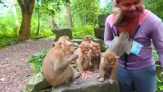 Morning breakfast  #27thjunemorning #Kosalteam #Savanateam #Kosolkean #Feedmonkeys #Feedabandoned