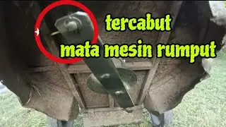 [Episod1626] last mesin rumput tepi rumah tahun lepas