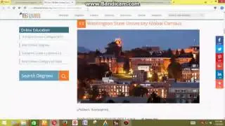 13  Online Bachelor Degree Program