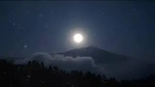 Dark Full Moon in the Deep Forest 🌕 | Mysterious Night Ambience ASMR”