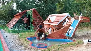 Build Dog House, Swimming Pool For Puppies & Make Water Slide To Pool