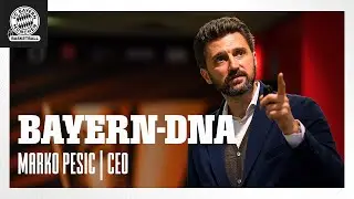 Die Bayern DNA - Episode 4 | CEO Marko Pesic | Exklusive Einblicke mit der @BayWaAG-TV