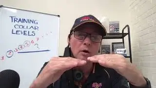 What Level Should I Use for My Remote Dog Training Collar?