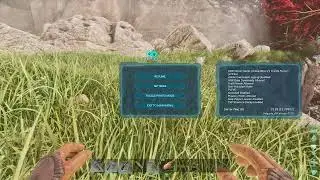 Solo Ark Beginning Experience!