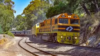 EMD powered grain roars up the steep grades of the Adelaide Hills.