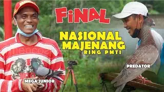 FINAL || Pesta Rakyat Ring PMTI Nasional Lapak Statiran Majenang || MEGA JUNIOR vs PREDATOR