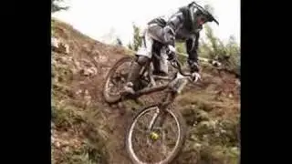 Notion Freeride