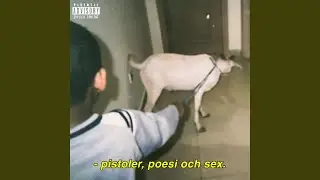 Hoodrich