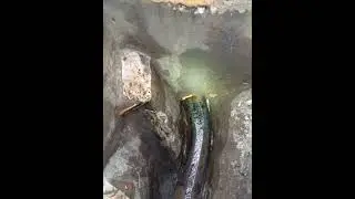 difficult to solve Rat infestation, solved with some drain investigation.