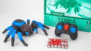 [toy asmr] Remote Control Animals: Tarantula - Snake - Beetle - Snail | Satisfying Unboxing ASMR