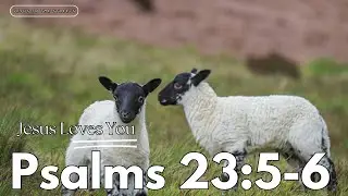 Psalms 23:5-6: Abundant Blessings and Eternal Love: God's Provision and Promise